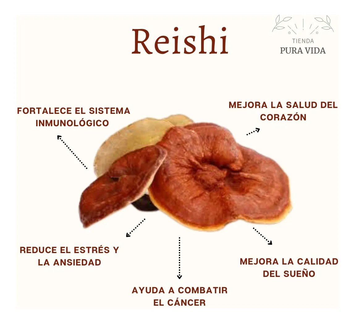 Reishi en Capsulas de 200mg (30 unidades) - Imagen 3