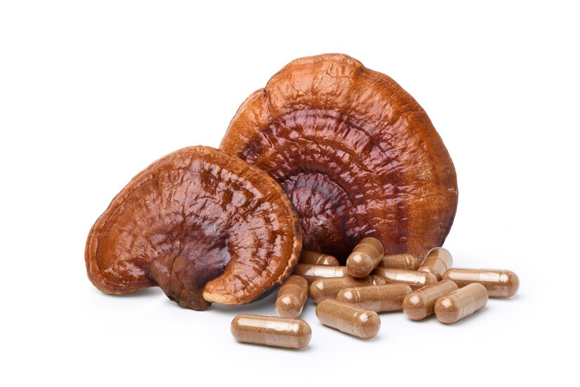 Reishi en Capsulas de 200mg (30 unidades) - Imagen 2