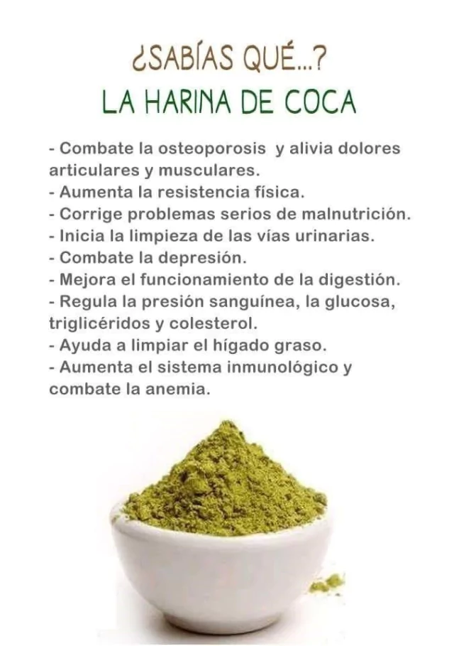 Harina de Coca - Imagen 2
