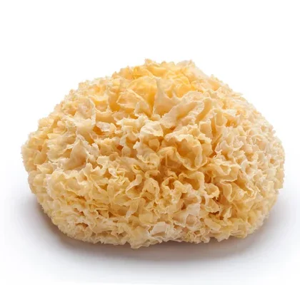 Hongo Tremella En Polvo 30g Mejorador De Piel