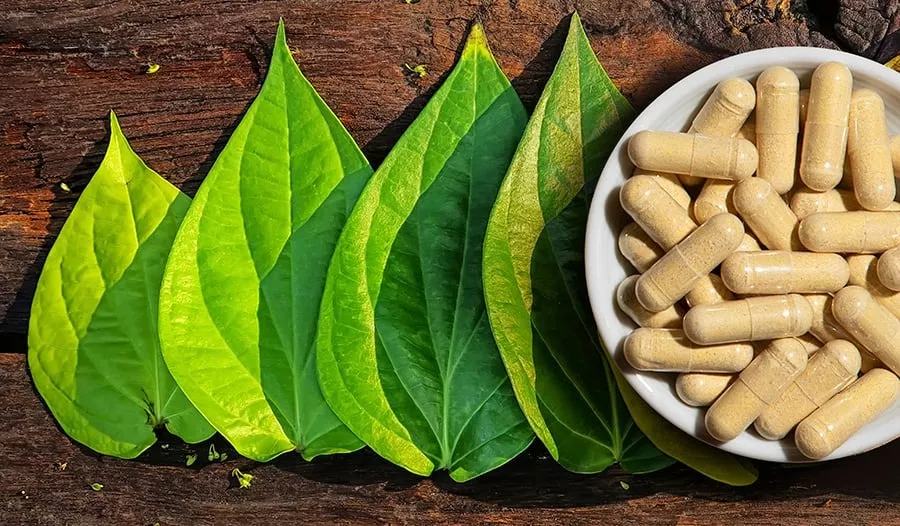 Kava Kava En Capsulas De 400mg Por 10 Unidades - Imagen 3