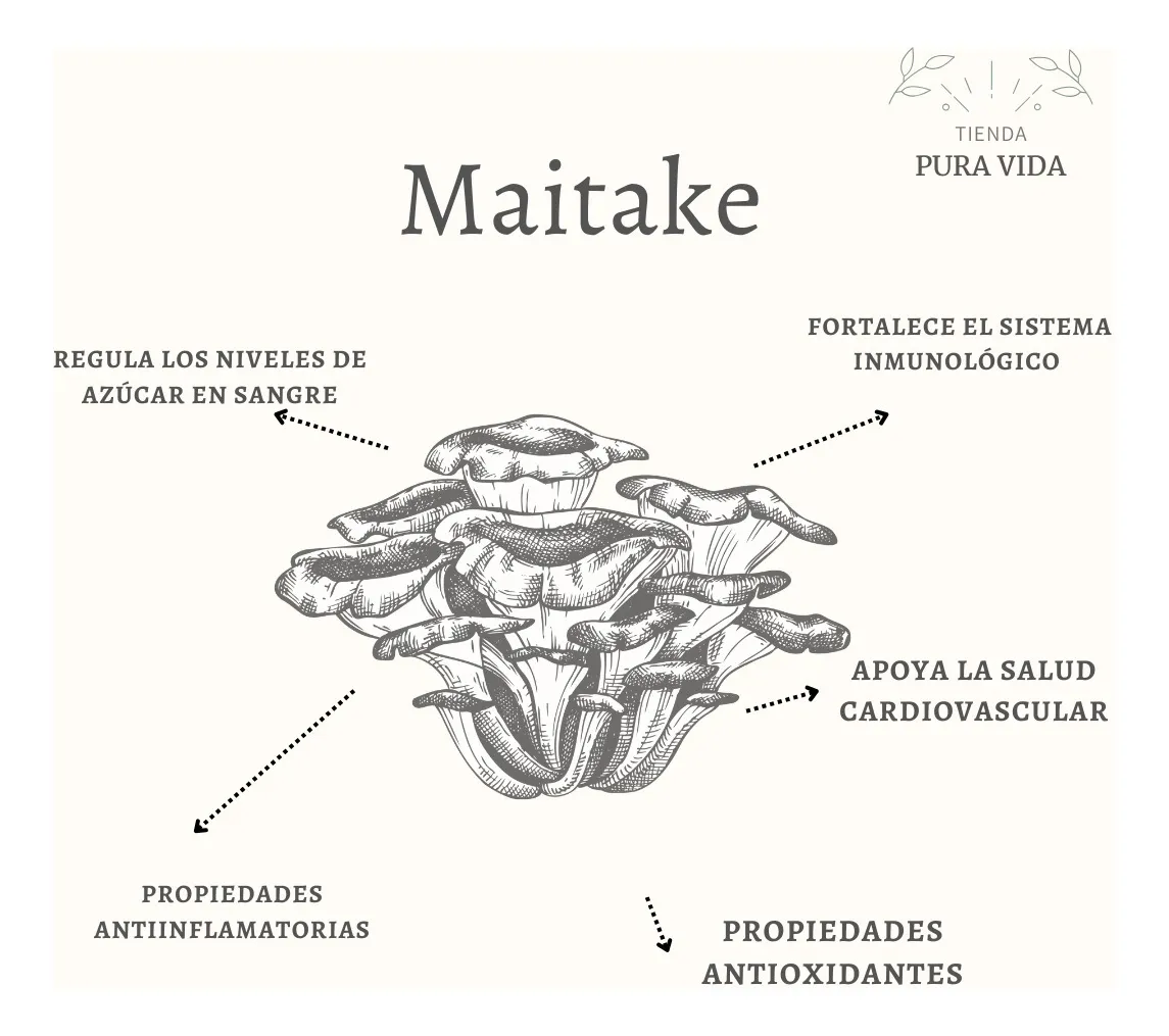 Hongo Maitake En Capsulas De 200mg Adaptogeno Nootropico Maitake - Imagen 2